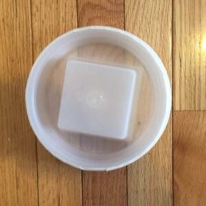 BED BUG SOLUTIONS