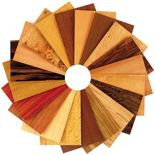 page23 custom veneers