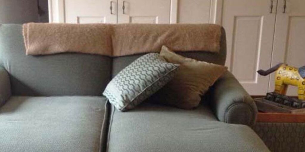 A cozy couch with colorful pillows and a fluffy dog resting on it.