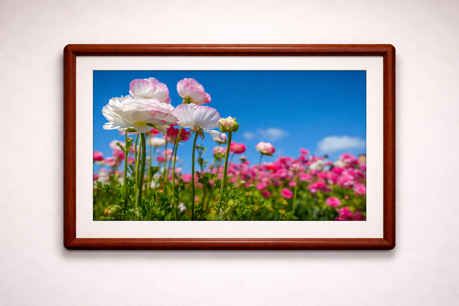BHC Artwork Solutions - Image 4